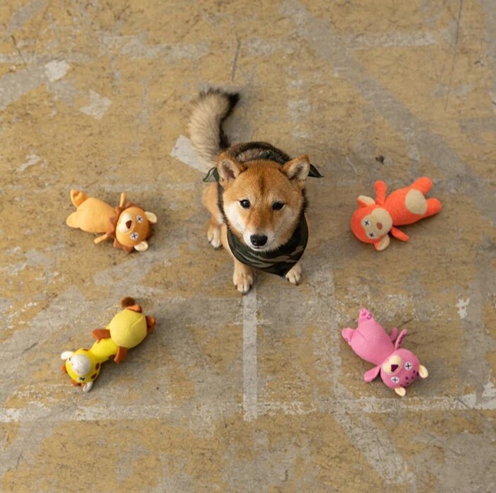 ファッド サファリ・プラッシュトイ/S