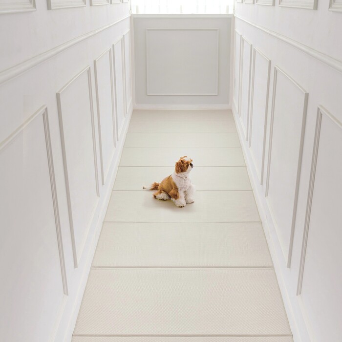 dfang　ペットプレイマット 【厚さ5mm 幅70cm】　エクルアイボリー