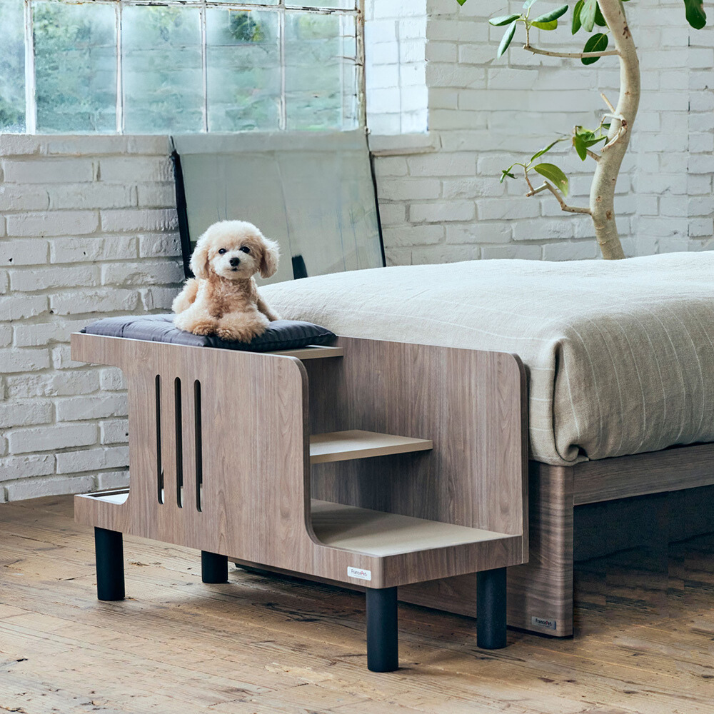 ペットステップベンチ