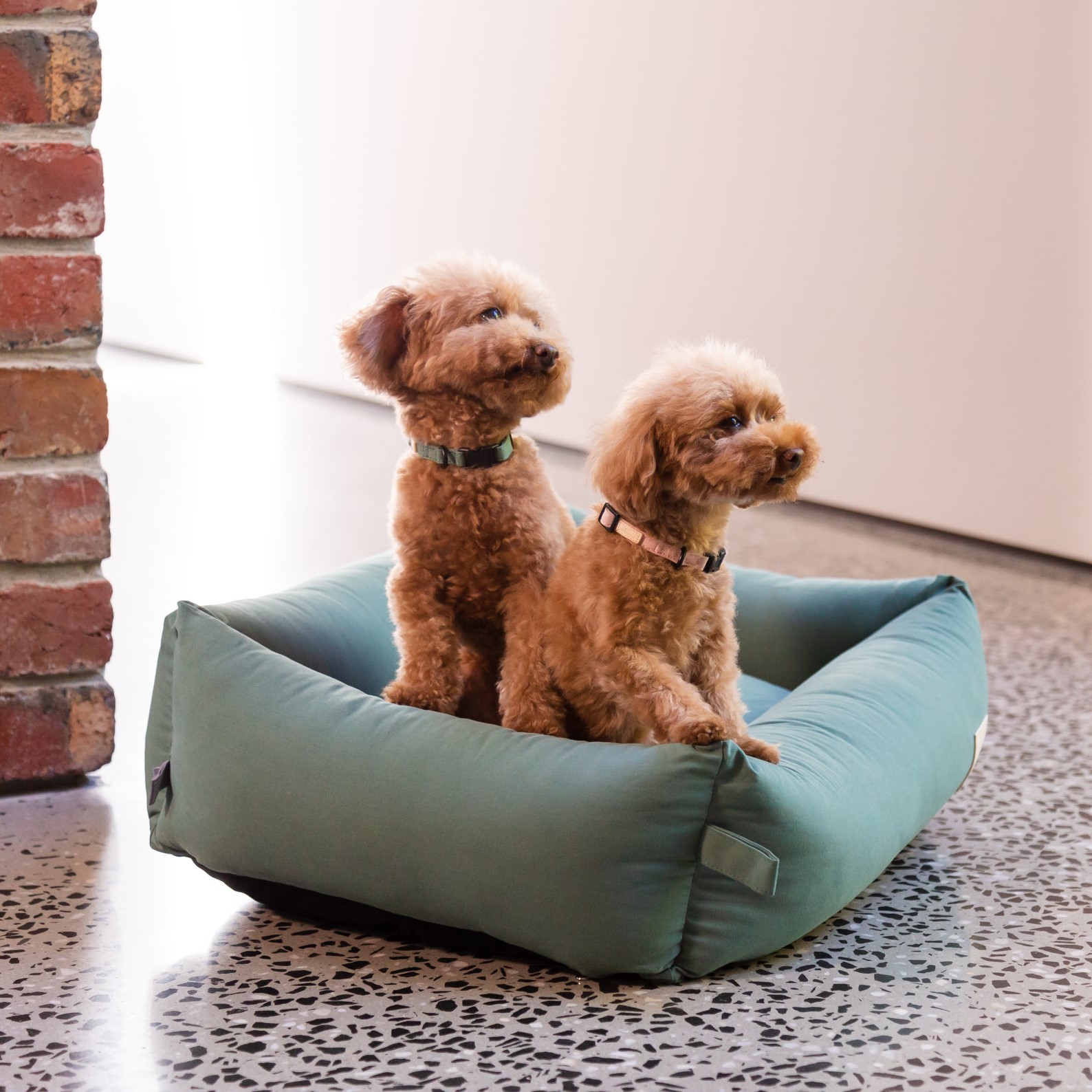 【在庫一掃】 Fuzzyard LIFE プレミアムコットンベッド【Mサイズ】 Pets-first ベッド・マット・カバー