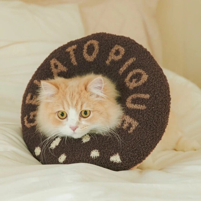 gelato pique　ベビモコドーナツカラー