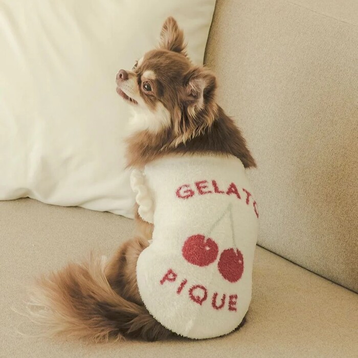 gelato pique　スムーズィーチェリージャガードプルオーバー