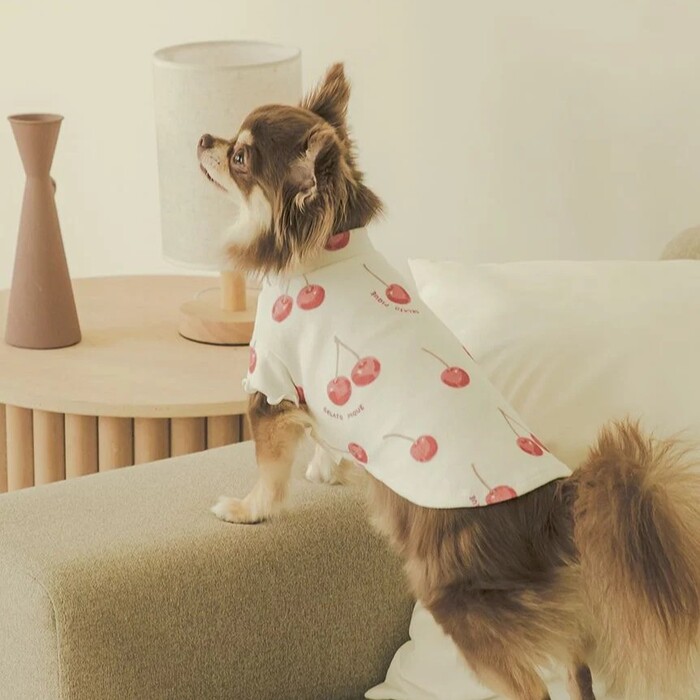 gelato pique　チェリー柄プルオーバー