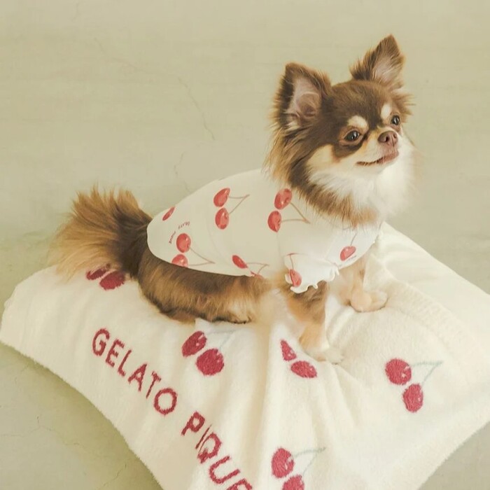 gelato pique　チェリー柄プルオーバー