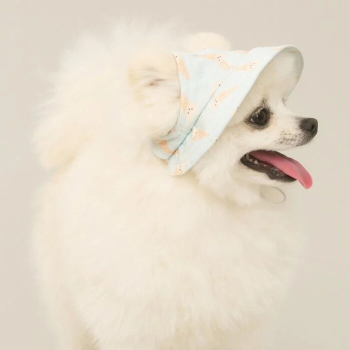 gelato pique　ハット（帽子）