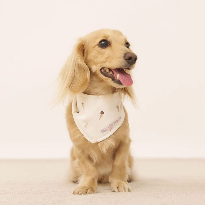 涼しい【gelato pique】CAT DOG シロクマ柄 保冷剤入れ バンダナ gelato pique｜【CAT&DOG】シロクマ柄保冷剤入れバンダナ
