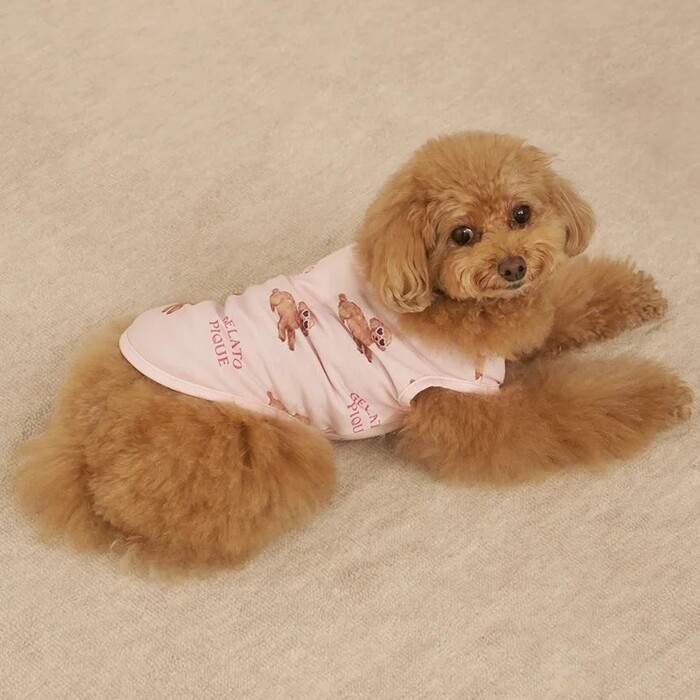 gelato pique 【接触冷感】サマートイプードル柄プルオーバー Pets