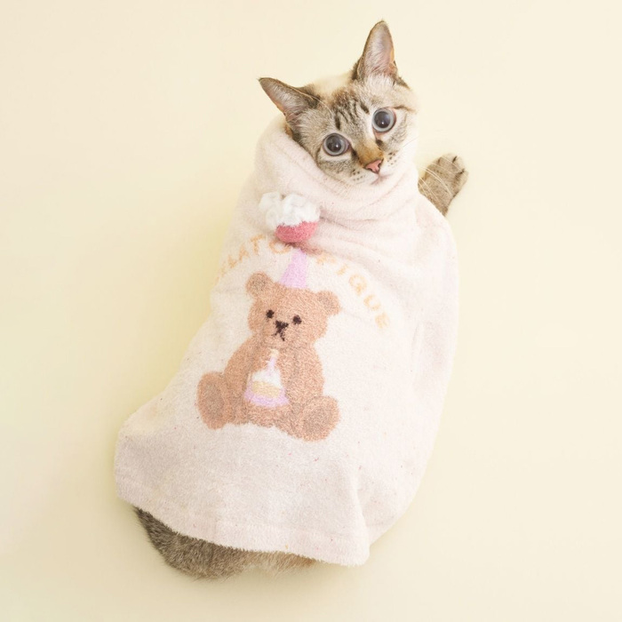 gelato pique　【Birthday】スムーズィーケープ