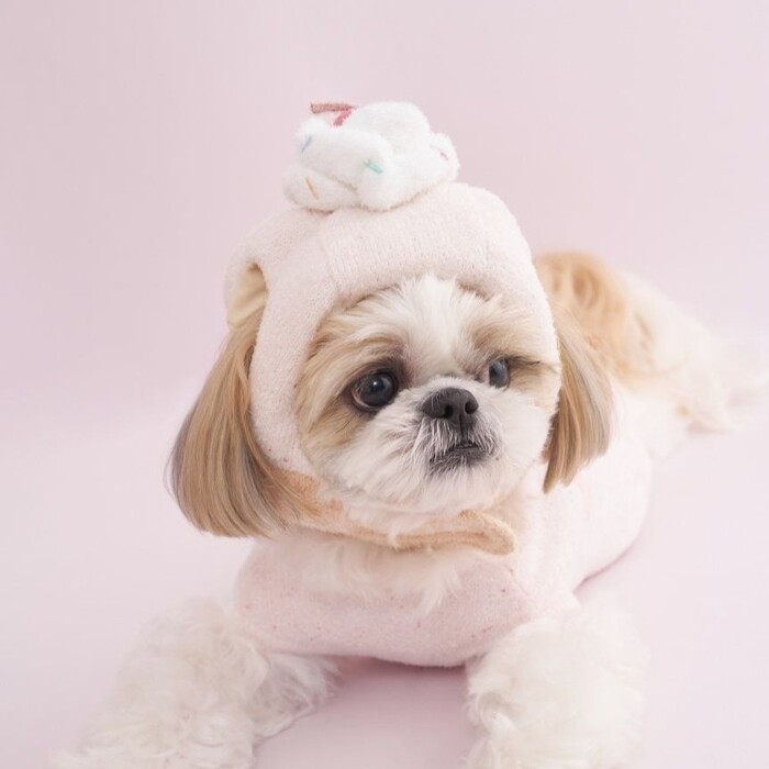 gelato pique 【Birthday】カップケーキハット Pets-first