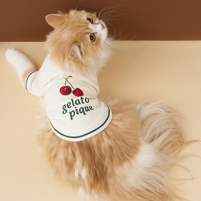 gelato pique チェリー柄裏毛プルオーバー Pets-first ONLINESTORE