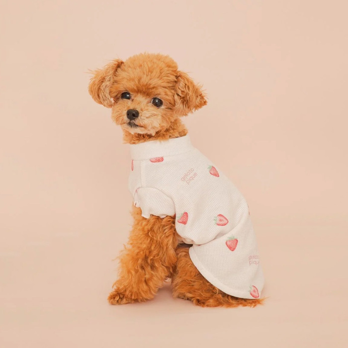 gelato pique フルーツ柄ワッフルカットソープルオーバー Pets-first