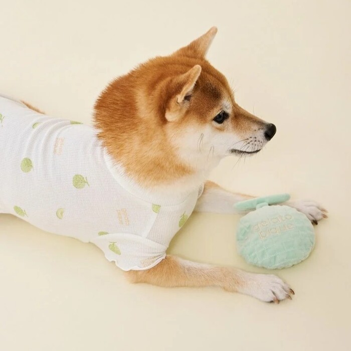 gelato pique　フルーツトイ