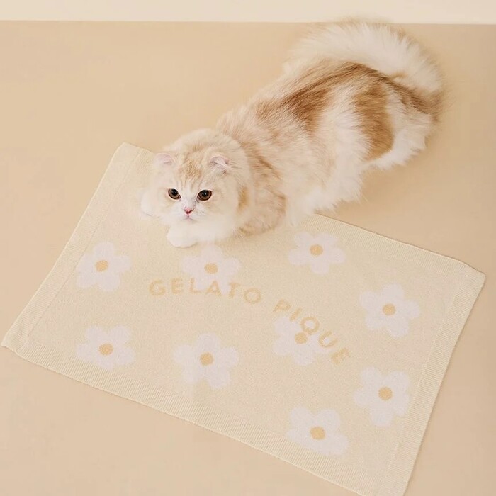 gelato pique スムーズィーフラワージャガードブランケット Pets-first