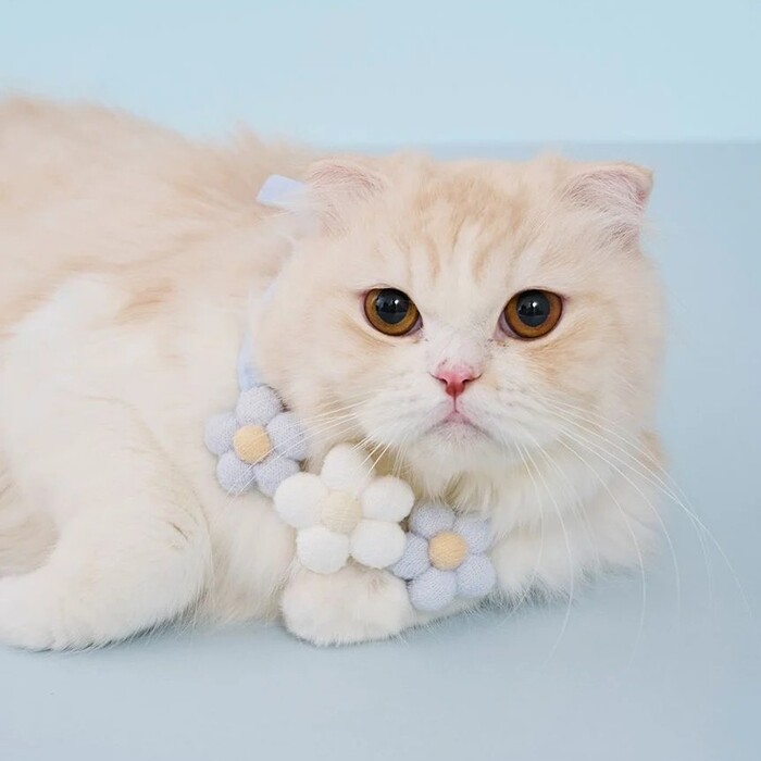 gelato pique　スムーズィーフラワーモチーフチョーカー