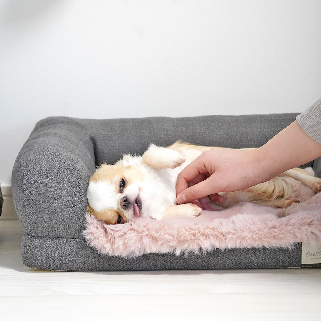 【IDOG&ICAT】 ブロックファー敷パッド Sサイズ 滑り止め付き