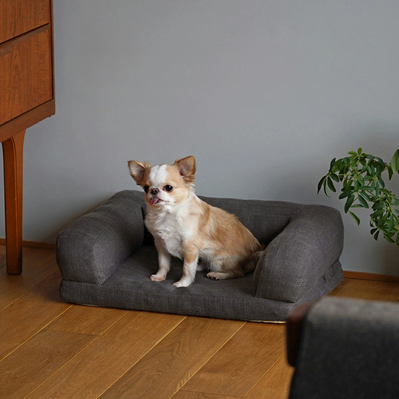 【IDOG&ICAT】 リラクシングソファベッド Sサイズ
