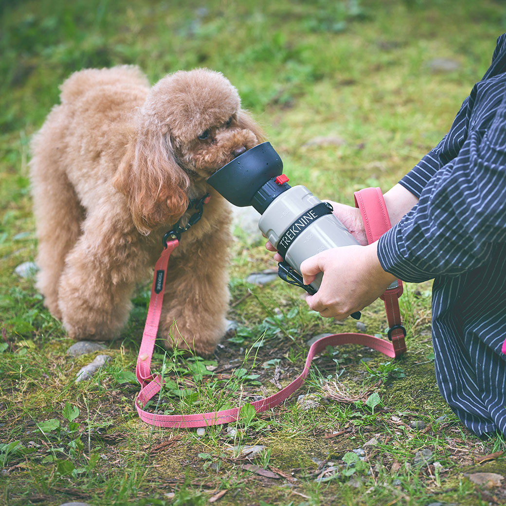 【IDOG&ICAT】 折りたたみ式給水ボトル トレックナイン