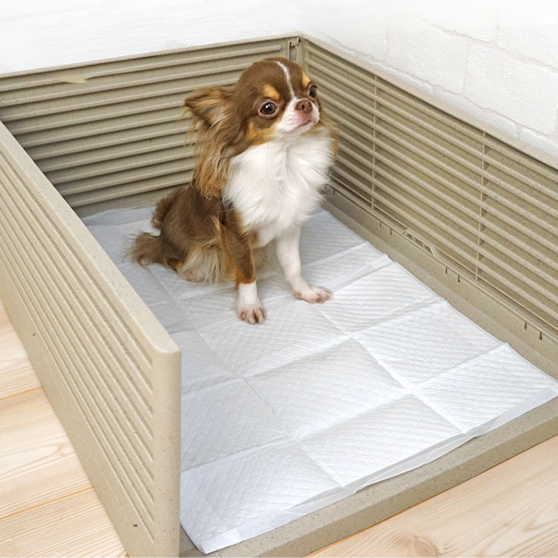 【IDOG&ICAT】 iDog HACK 愛犬のためのインテリアトイレ ΞLOUVER