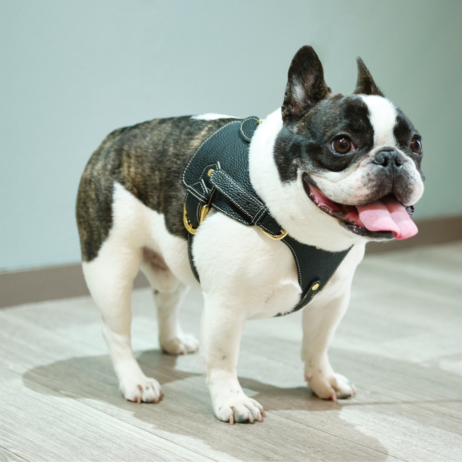 Noｗ＆Ｆountain　ボディベルト Aタイプ ナチュラルスキン