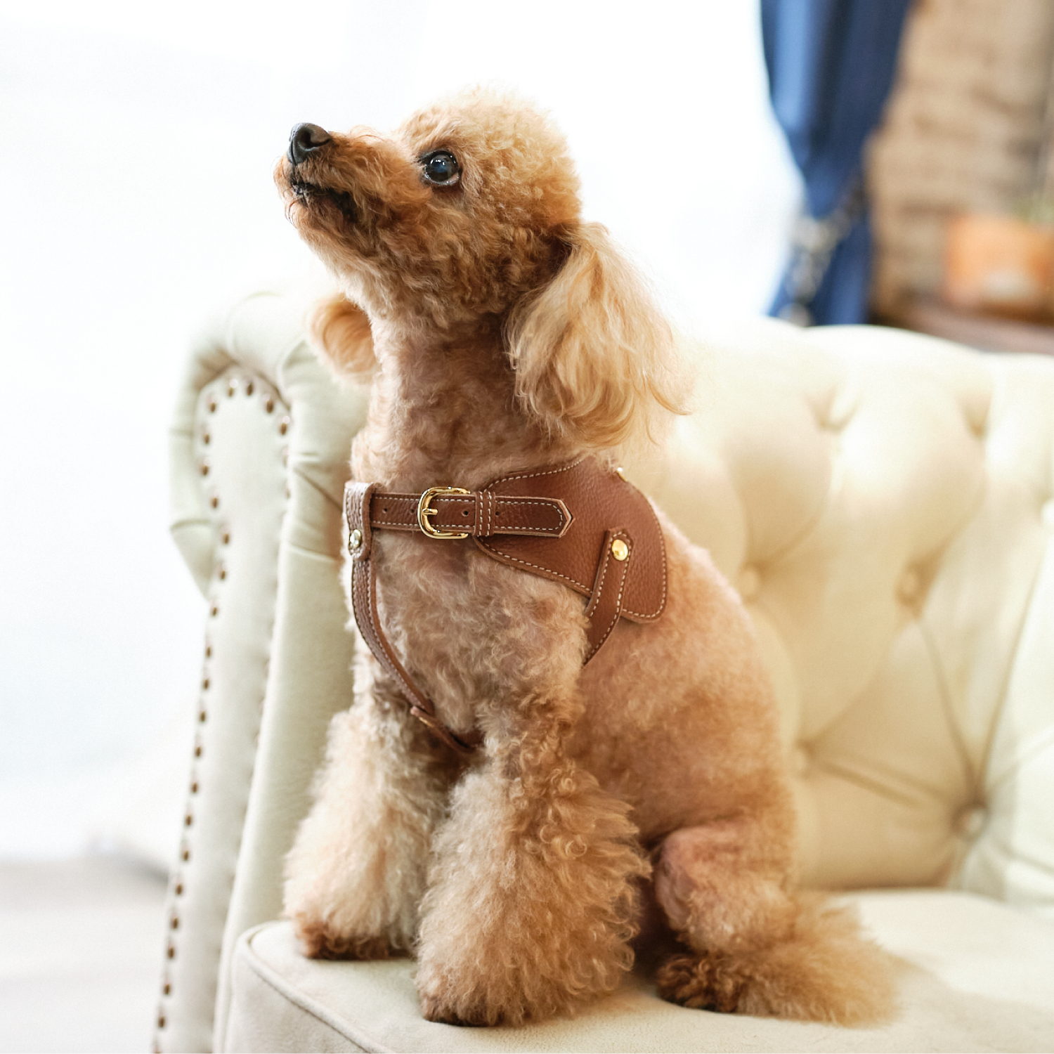 Noｗ＆Ｆountain　ボディベルト Bタイプ ナチュラルスキン