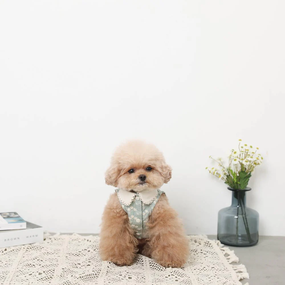 冷感刺繍花柄ピコレースノースリーブトップス