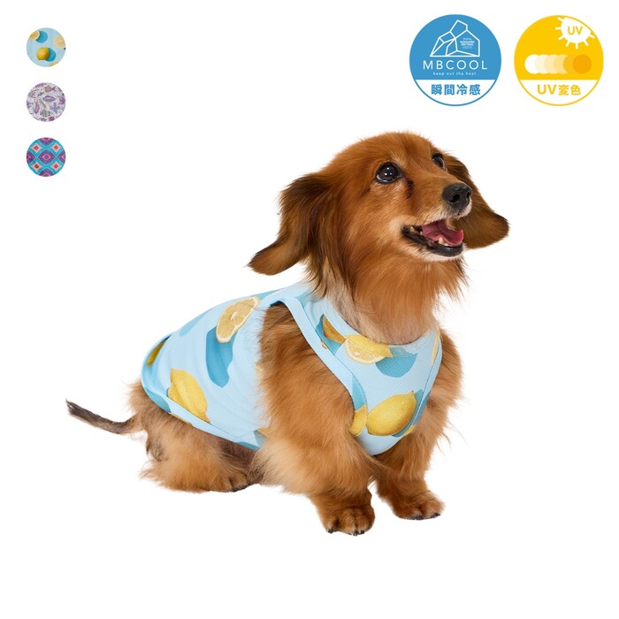 マンダリンブラザーズ　CCL COOLING TANK　クーリングタンク