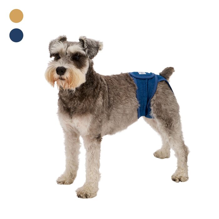 ぱん様 リクエスト 4点 まとめ商品 マナーパンツ マンダリンブラザーズ Manner Pants マナーパンツ（女の子用） Pets