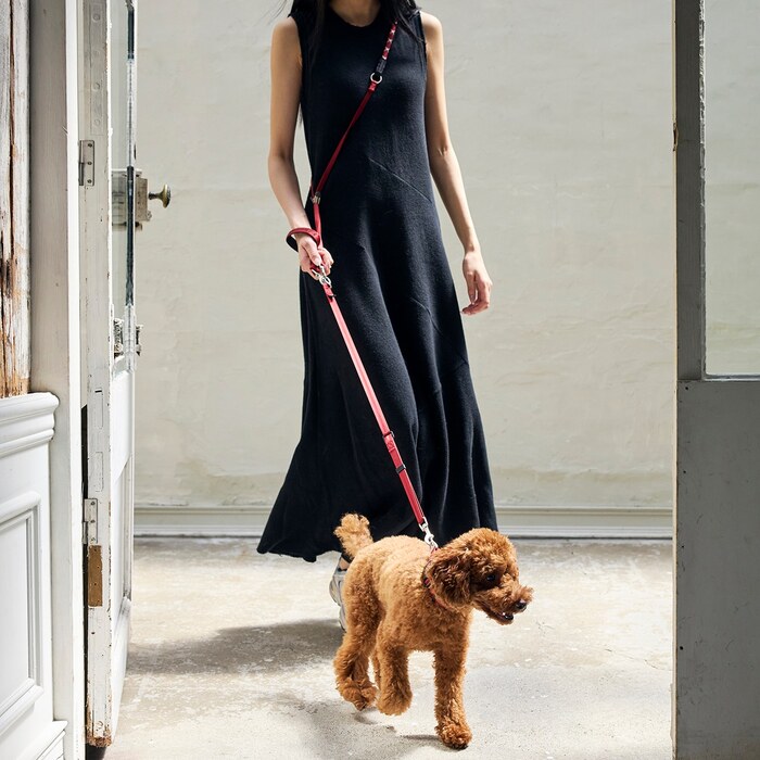 マンダリンブラザーズ 　HANDS FREE LEASH(ハンズフリーリード)