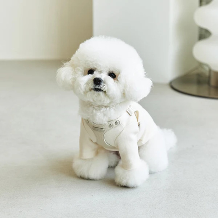 BYBONG DELIGHT HARNESS（クリーム） Pets-first ONLINESTORE