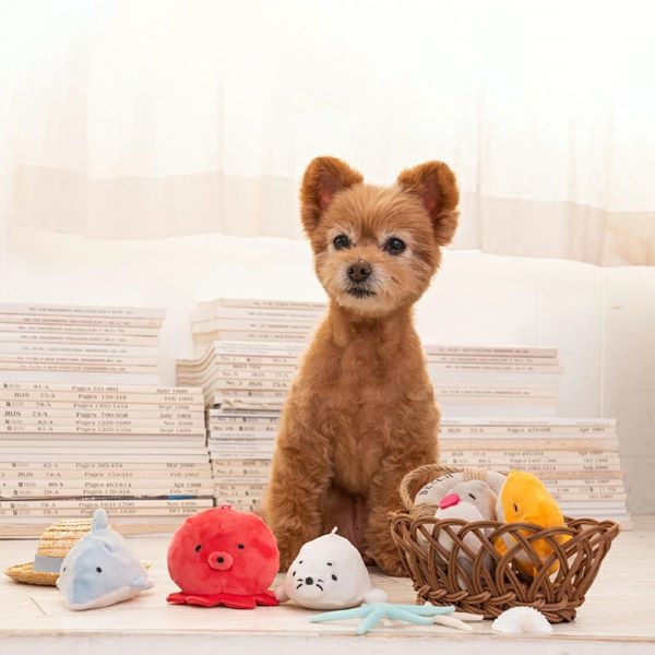 Solgra（ソルグラ）　アクアリウムTOY