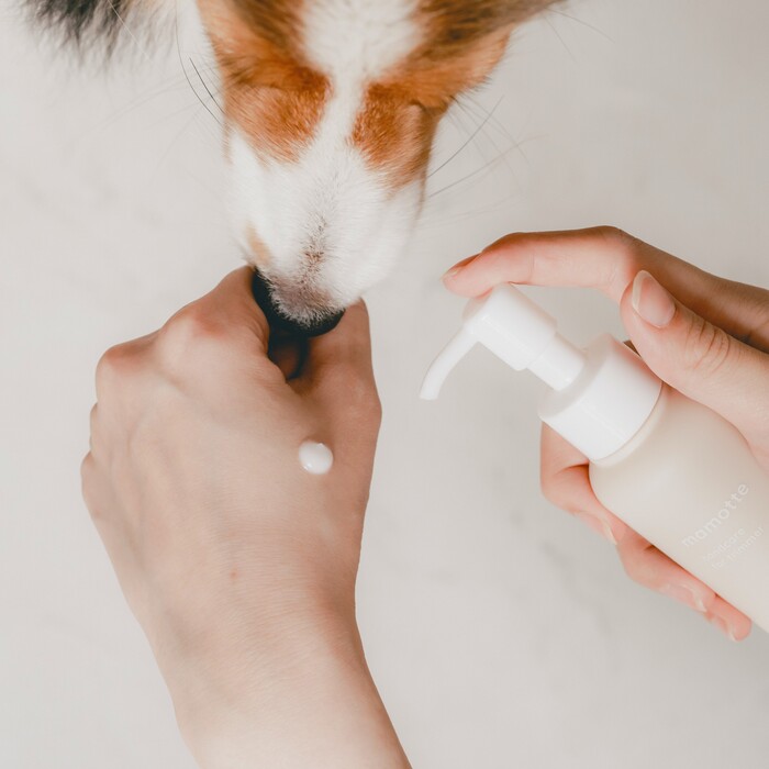 mamotte】ハンドクリーム（無香料） Pets-first ONLINESTORE