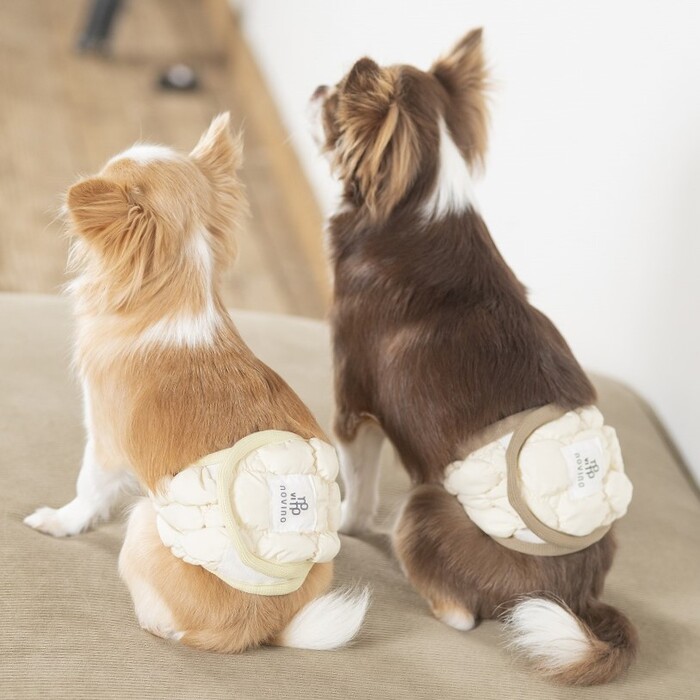 novino】ぽこぽこマナーベルト（男の子用） Pets-first ONLINESTORE