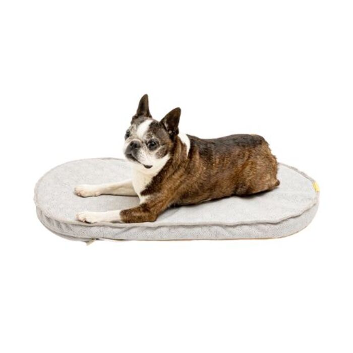 AIRMON Pet 冷却マット ファン付き 楽天市場】エアモン ペット AIRMON PET 送風型クールマット
