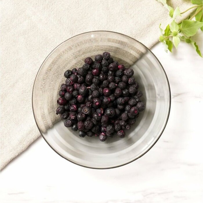 【DOG TREE】フリーズドライ ブルーベリー M 13g