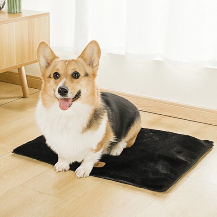 エムペッツ WARMOセルフヒーティングマット Pets-first ONLINESTORE