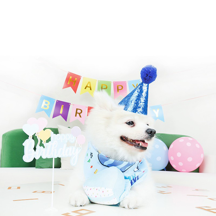 【M-PETS】Party time DOG