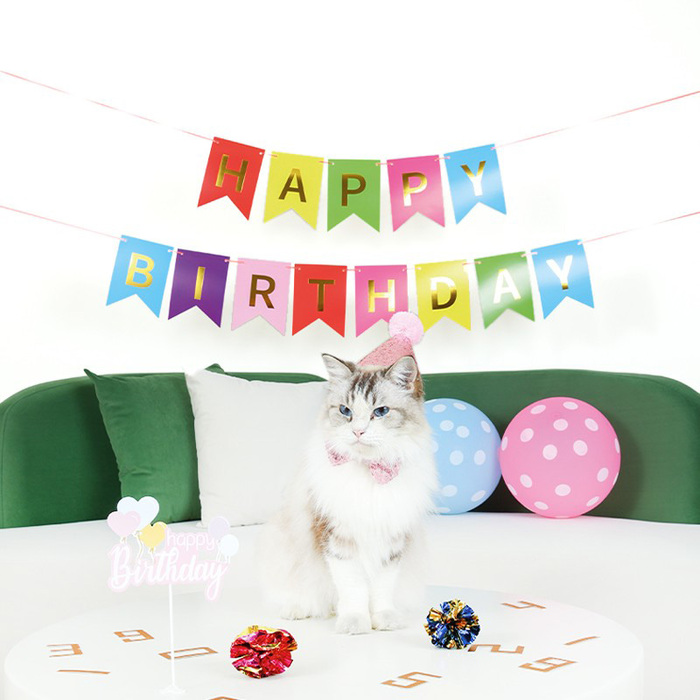 【M-PETS】Party time CAT