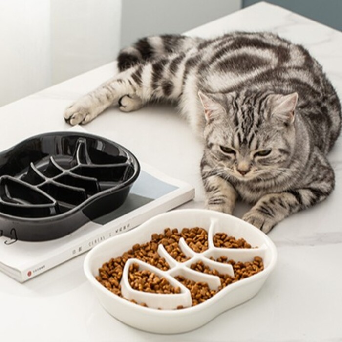 Petifam】陶器製早食い防止皿 フィッシュボーン / S Pets-first
