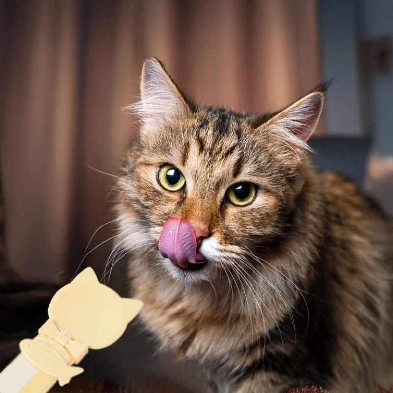 【M-PETS】Creamy CAT/BEE スプーン