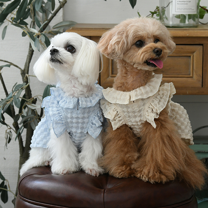 【在庫限り】ROPE' PICNIC ぽこぽこカットソー