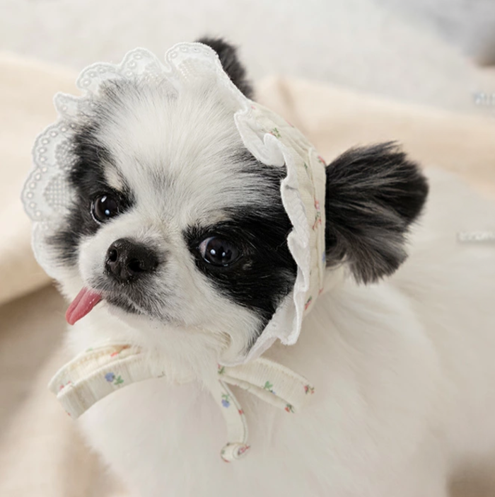 Un TouTou】小花柄レース帽子 / S Pets-first ONLINESTORE