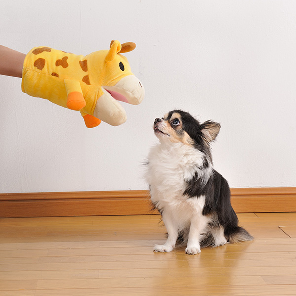 アニマルミトン