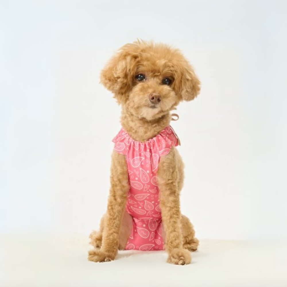 【anifull】キズぐちエプロン