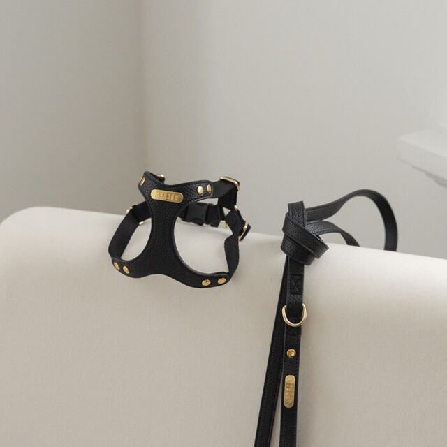 BYBONG DELIGHT 150cm LEASH（リード） Pets-first ONLINESTORE