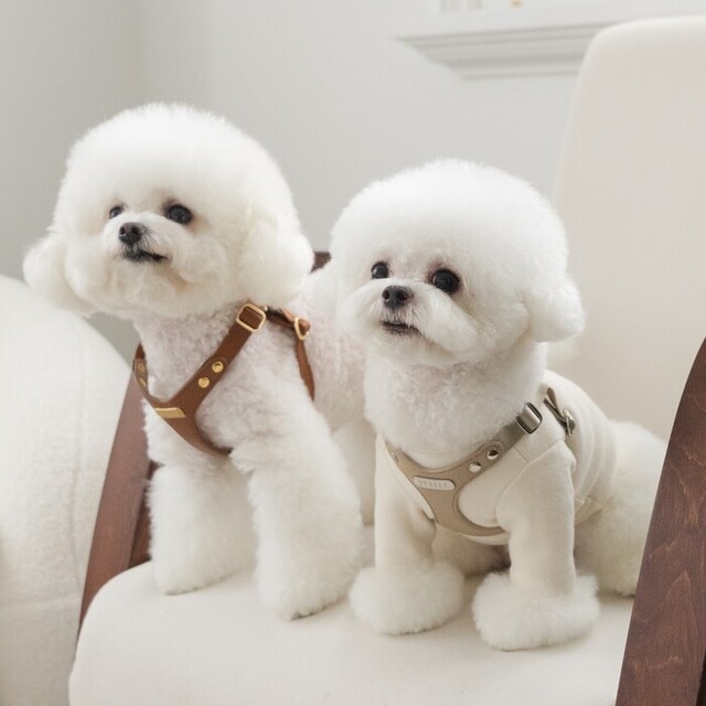 BYBONG DELIGHT HARNESS（ベージュ） Pets-first ONLINESTORE