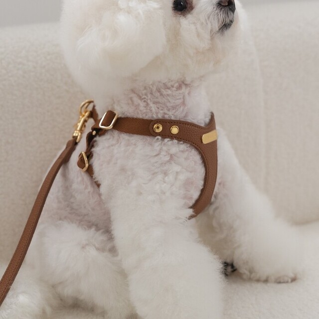 BYBONG DELIGHT HARNESS（キャメル） Pets-first ONLINESTORE