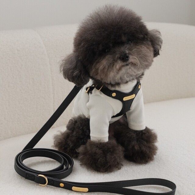 BYBONG DELIGHT 150cm LEASH（リード） Pets-first ONLINESTORE