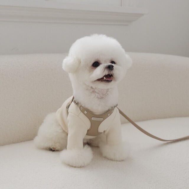 【6/21まで】 BYBONG/ DELIGHT HARNESS バックルVER BYBONG DELIGHT HARNESS（ベージュ） Pets-first ONLINESTORE