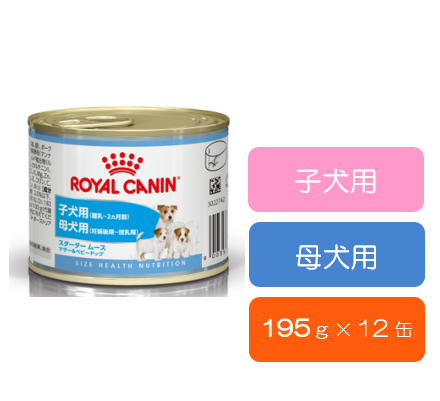 ロイヤルカナン チワワ ウェット 成犬～高齢犬用 (生後8カ月齢