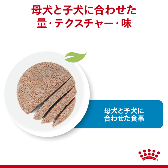 ロイヤルカナン スタータームース マザー&ベビードッグ (子犬・母犬用